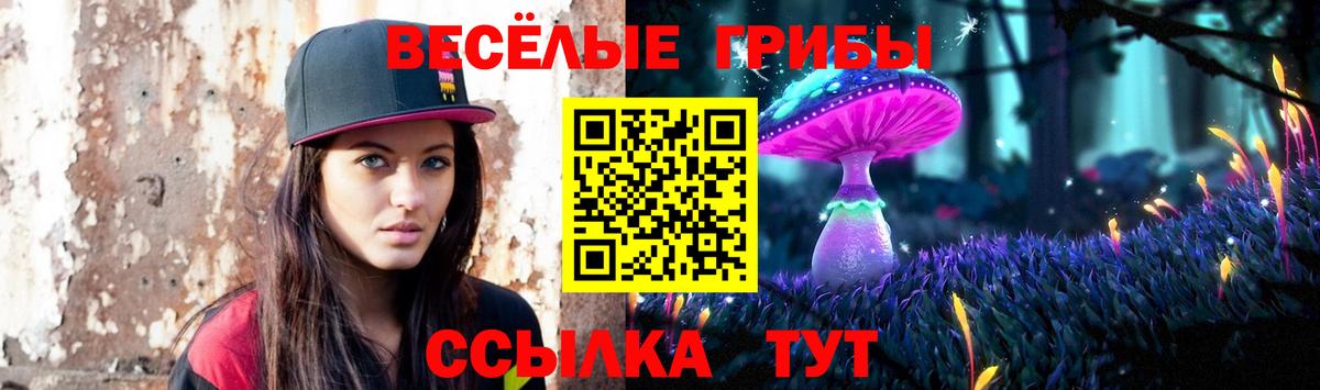 Галлюциногенные грибы прущие грибы  Вход с VPN  Асино 